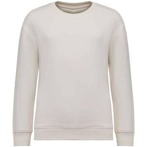 Native Spirit Childrens/Kids Round Neck Oversized Sweatshirt / Ivory